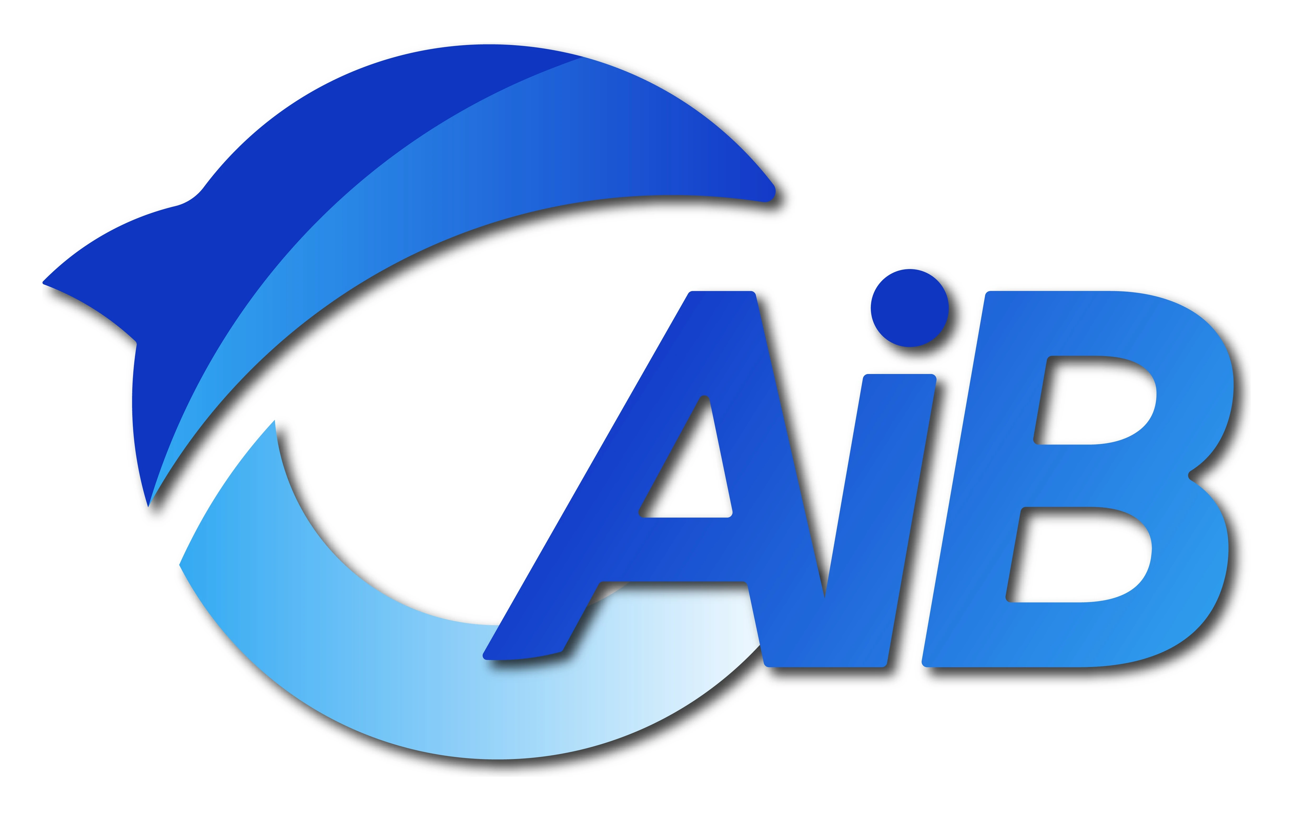 京立安检测 AIB